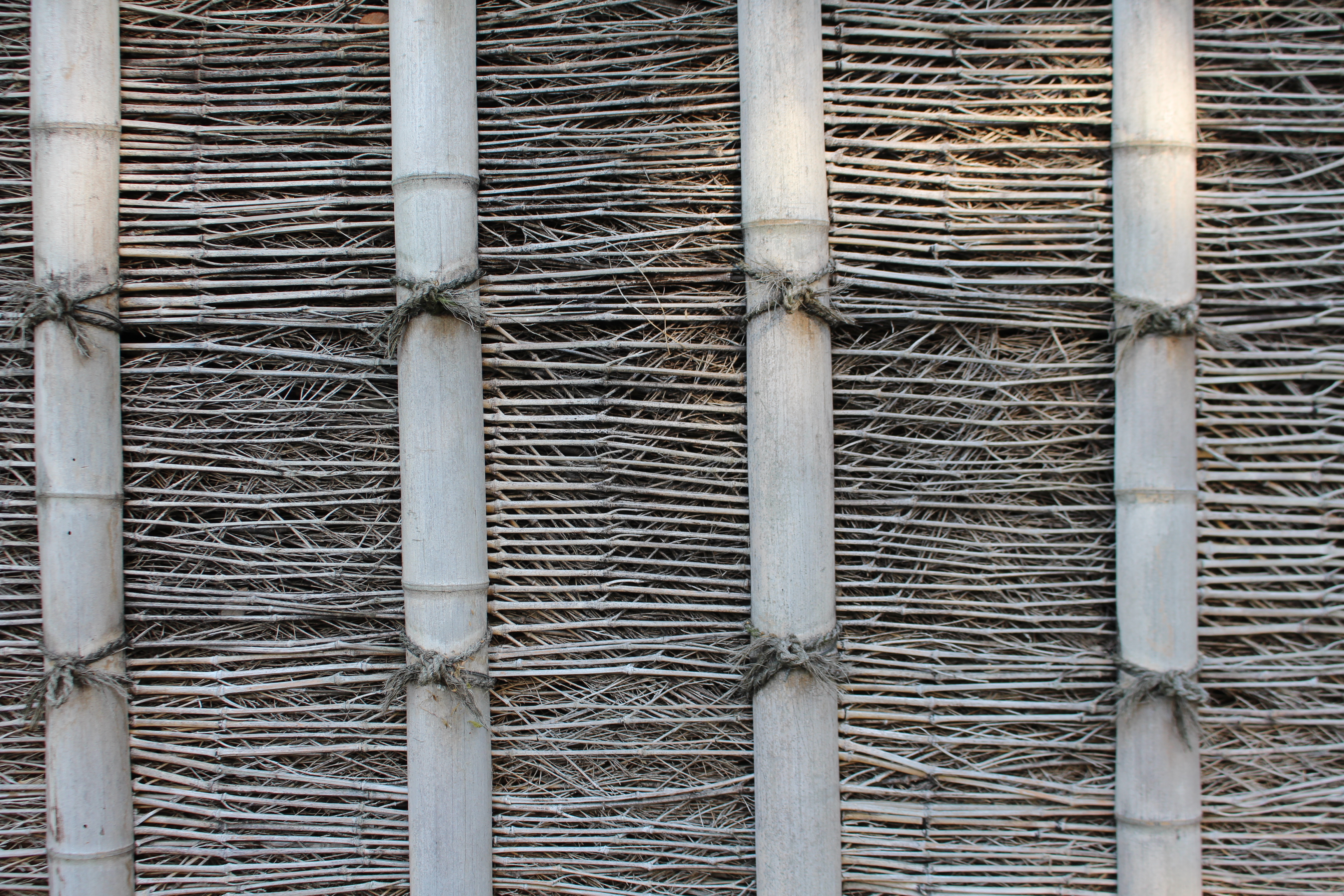 桂離宮へ 3