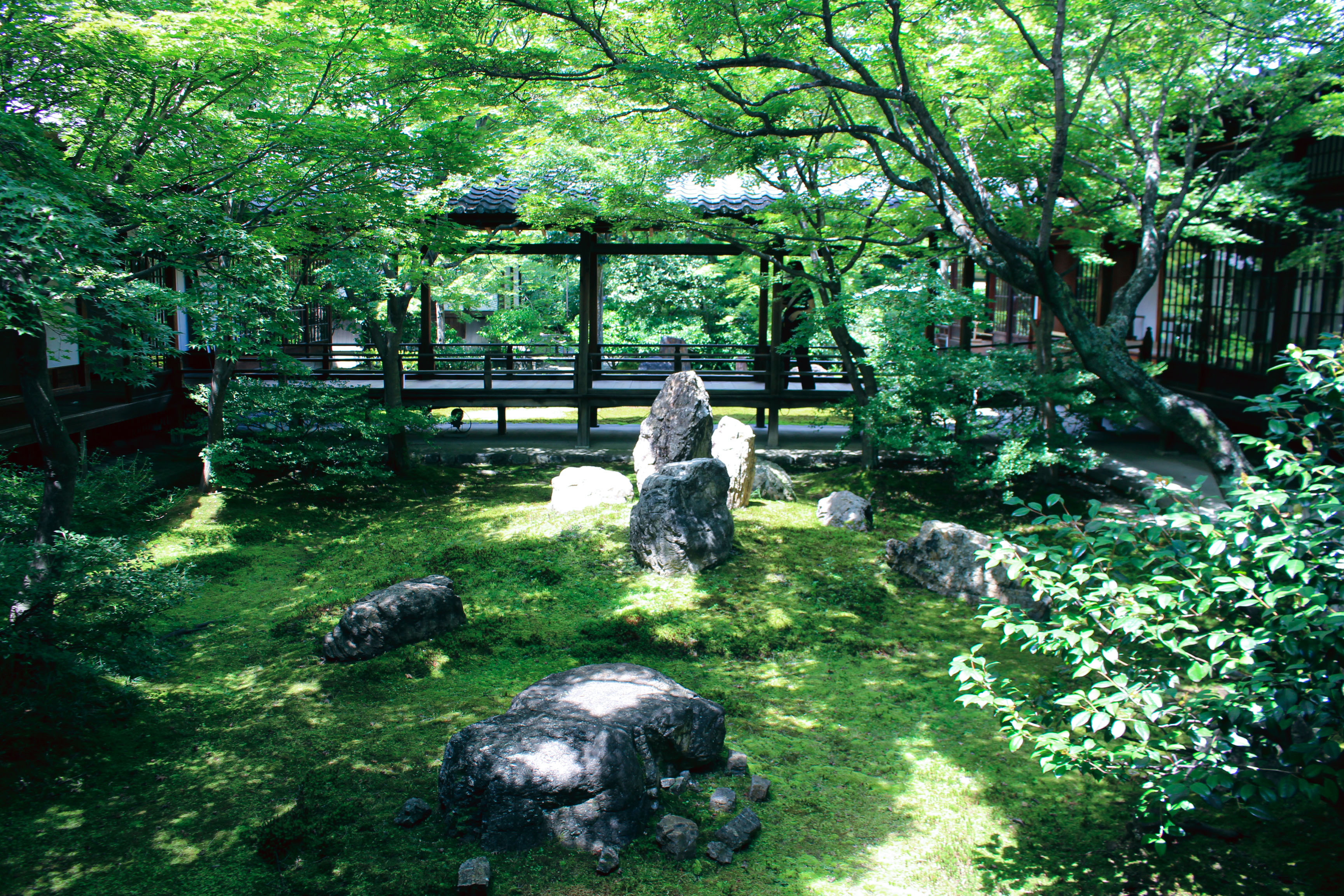 Relish the Glory of a Zen Garden