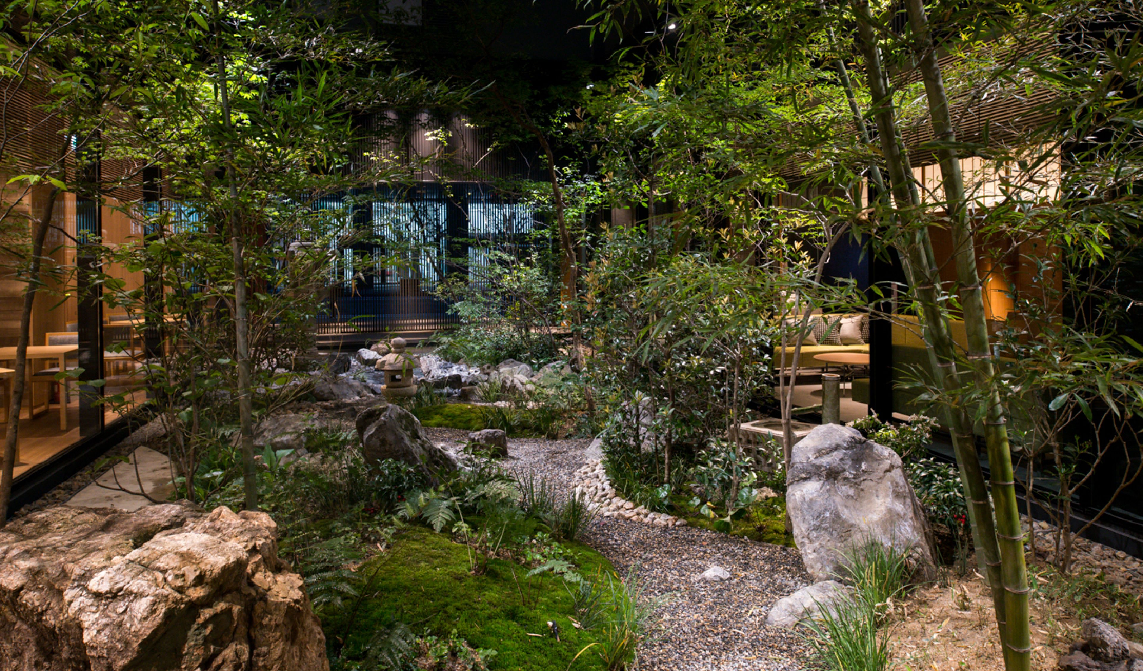 山採りの木が自然な姿を見せる